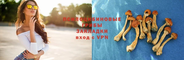 бошки Алзамай