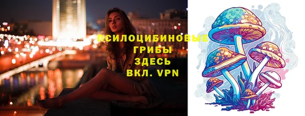 бошки Алзамай