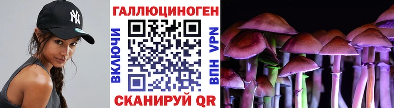 купить наркотик  Шиханы  Псилоцибиновые грибы ЛСД 